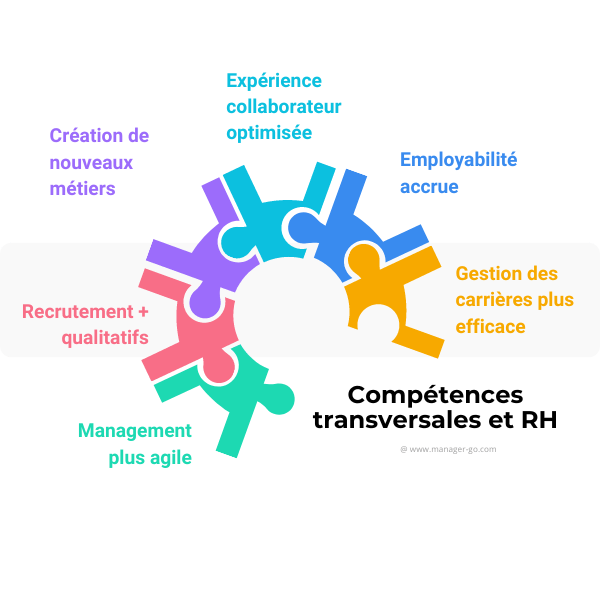 Compétences transversales et rh